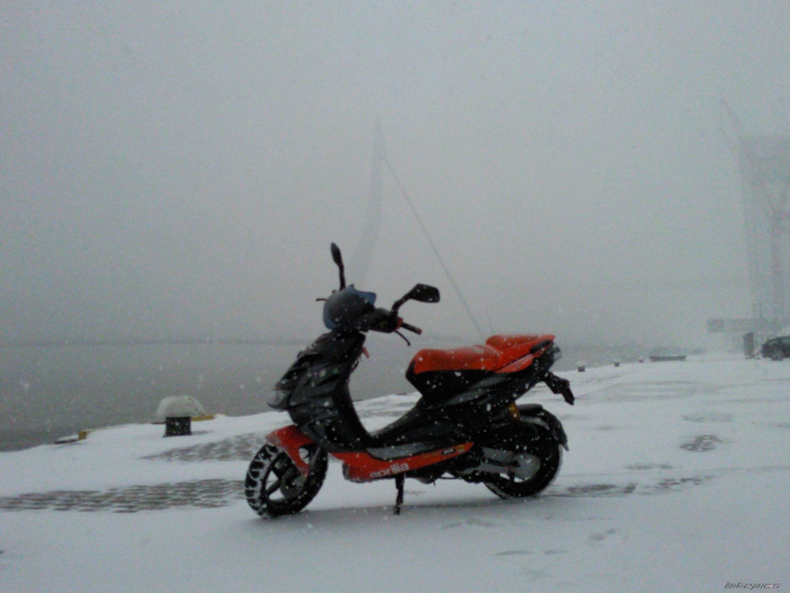Photo 2131762