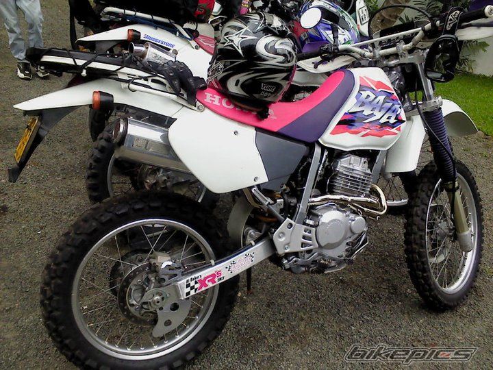 Photo 2131860