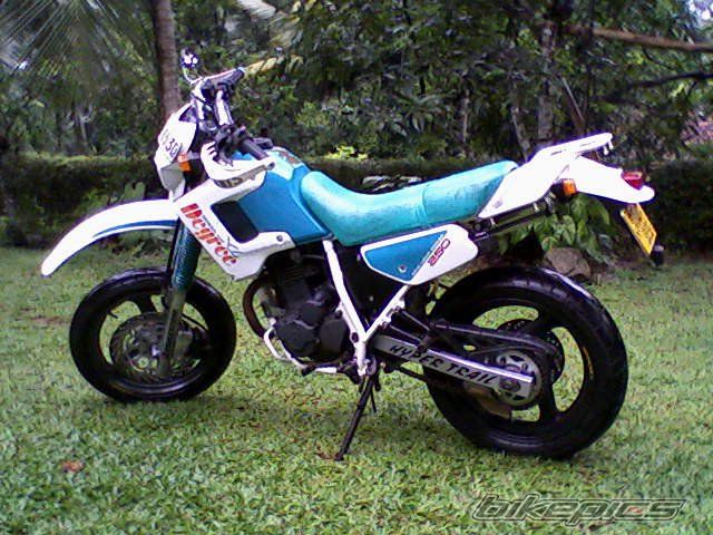 Photo 2131861