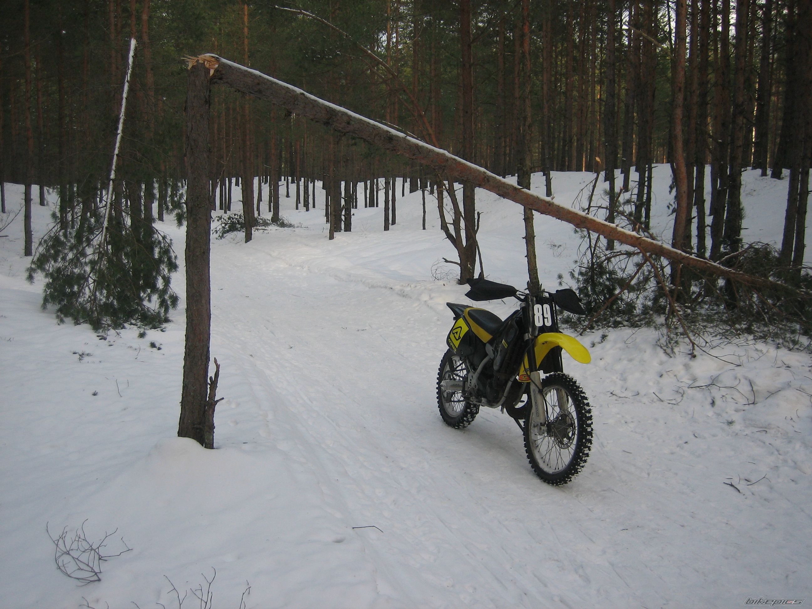 Bike Photo 2132052