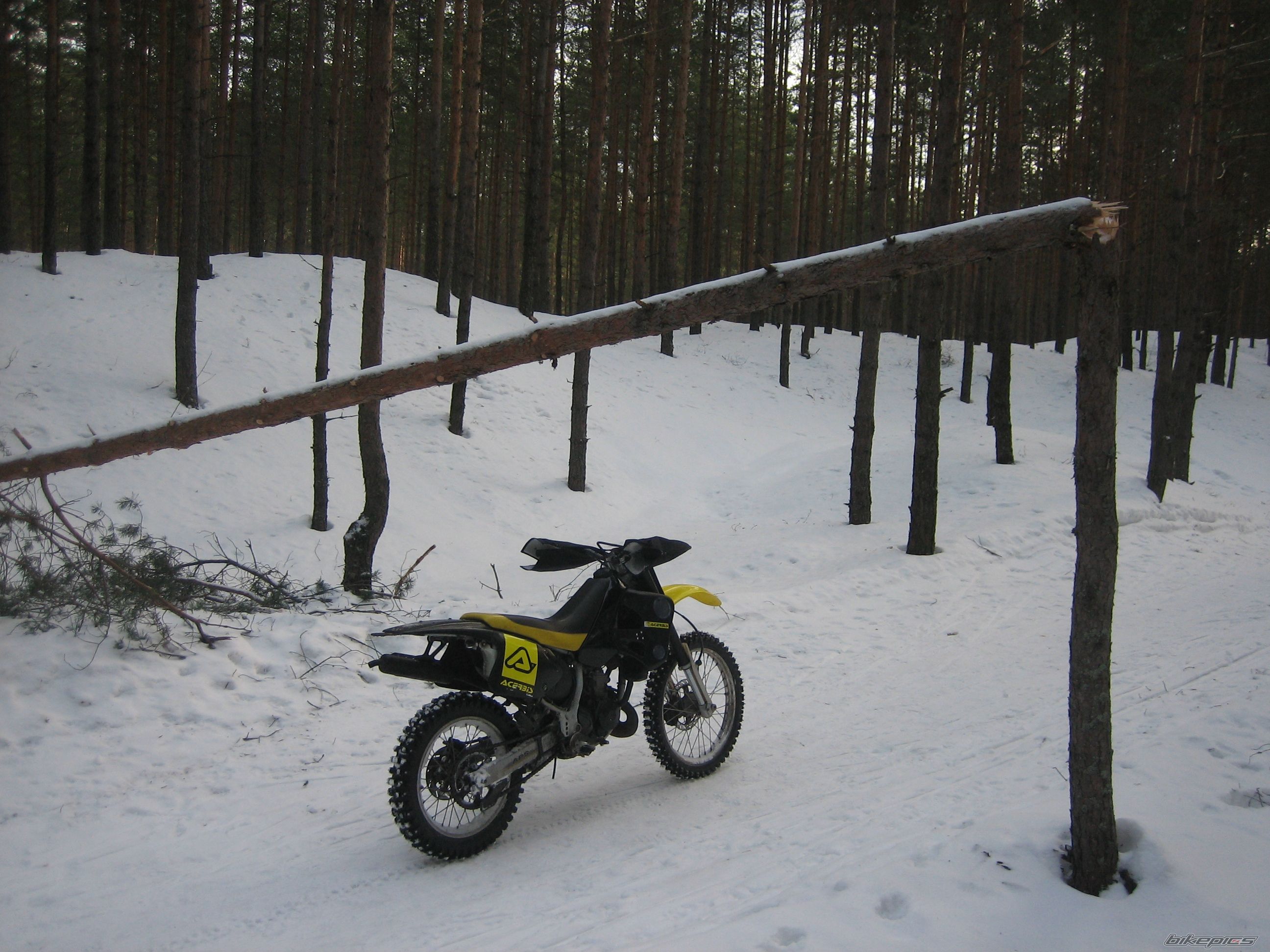 Bike Photo 2132053