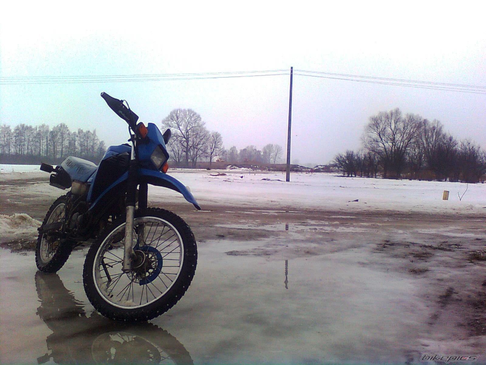 Photo 2132117