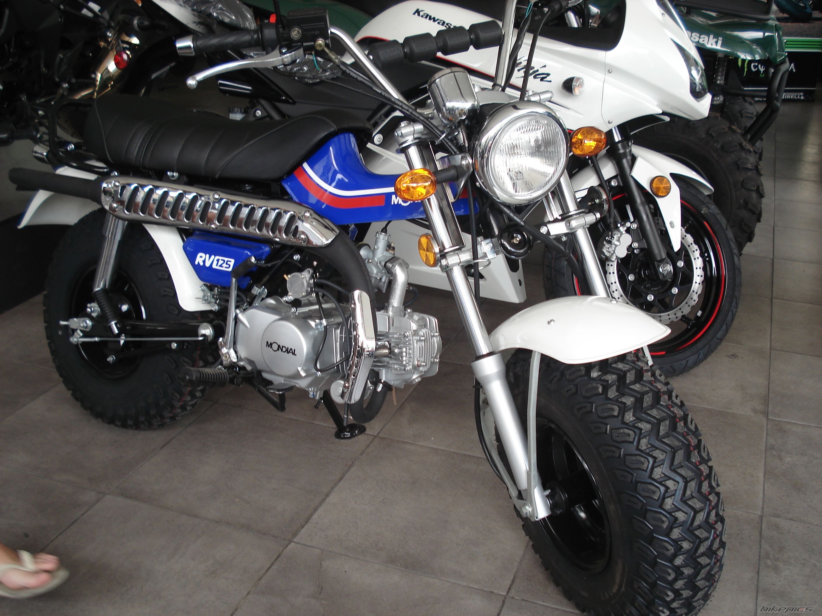 Photo 2132268