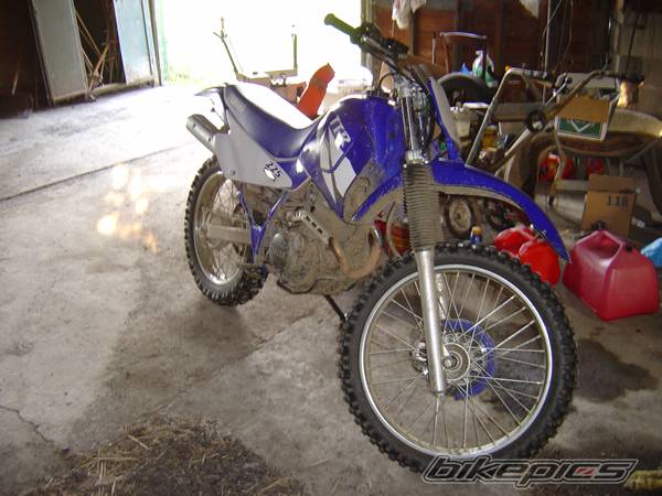 Photo 213231