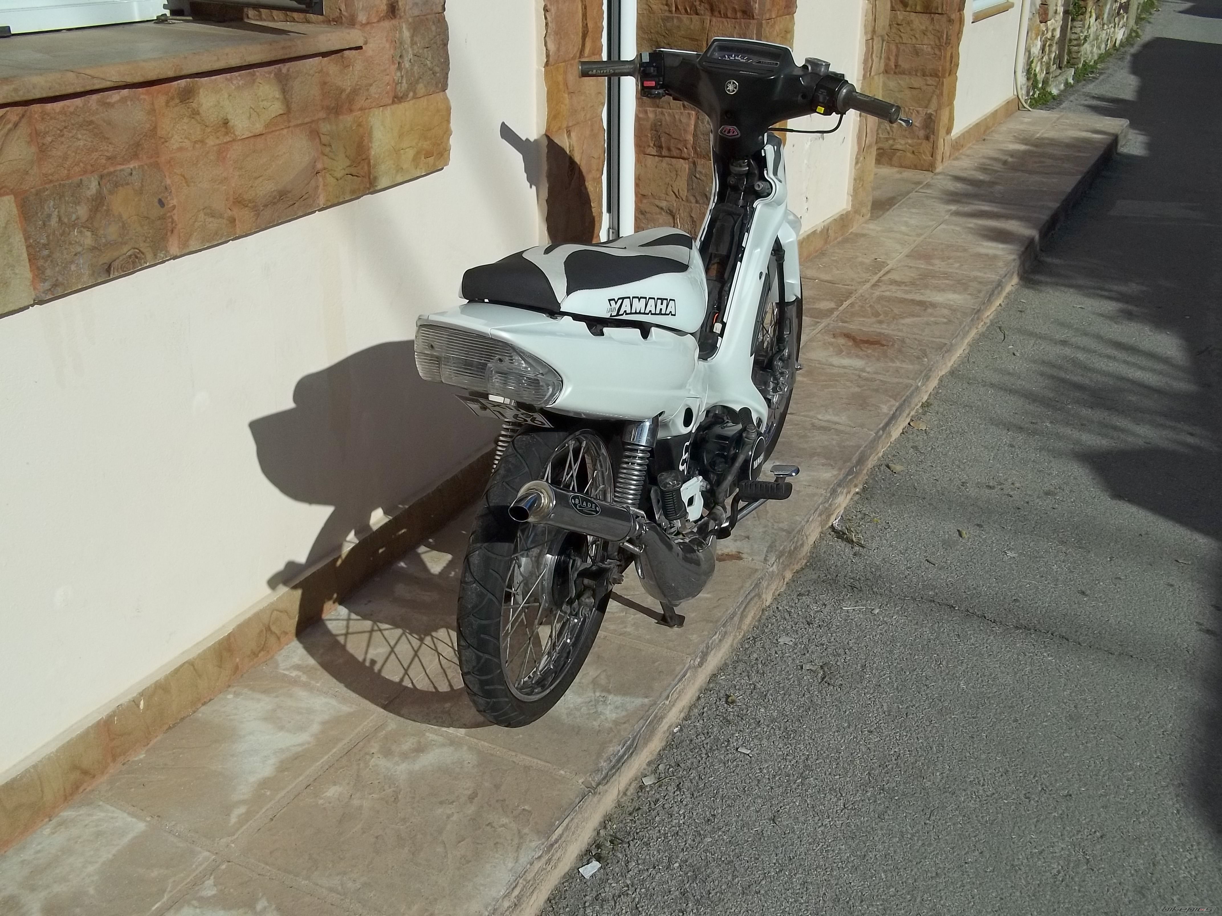 Photo 2132329