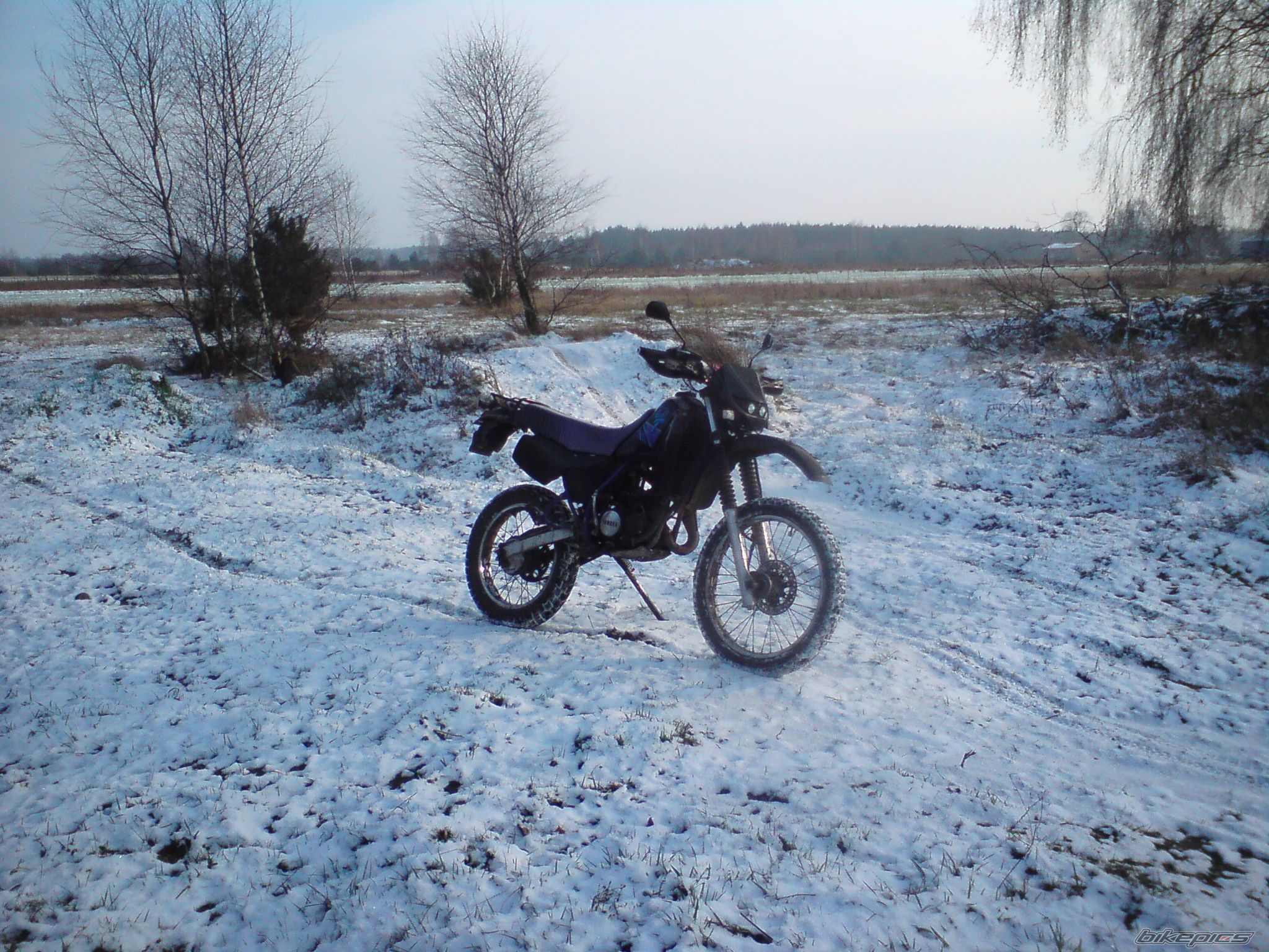 Photo 2132742