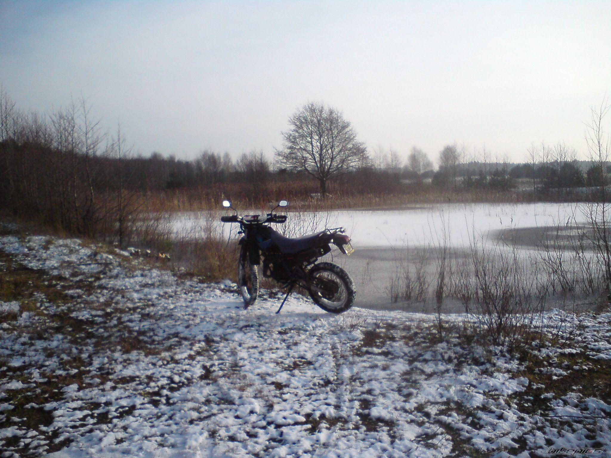 Photo 2132749