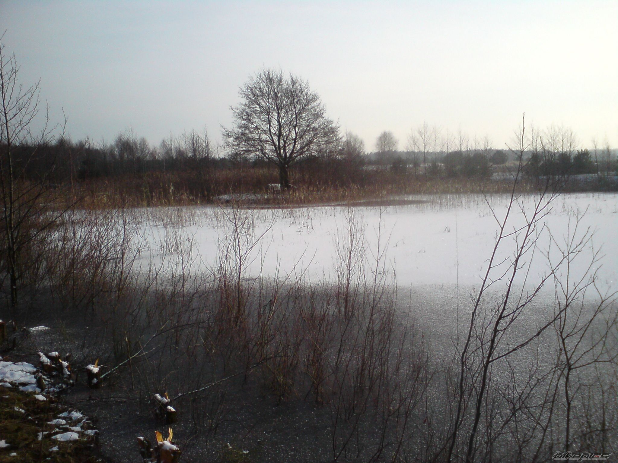 Photo 2132752