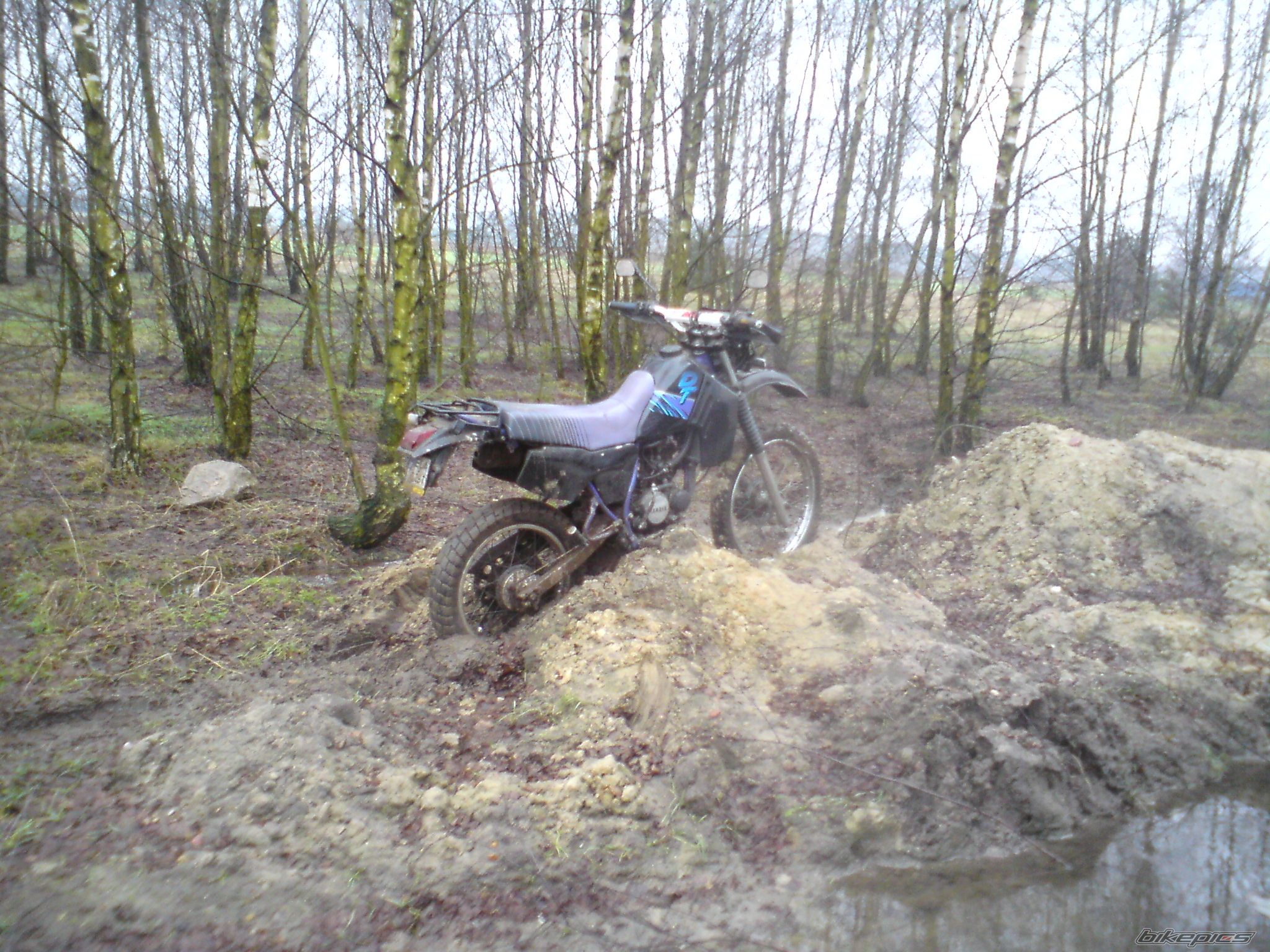 Photo 2132759