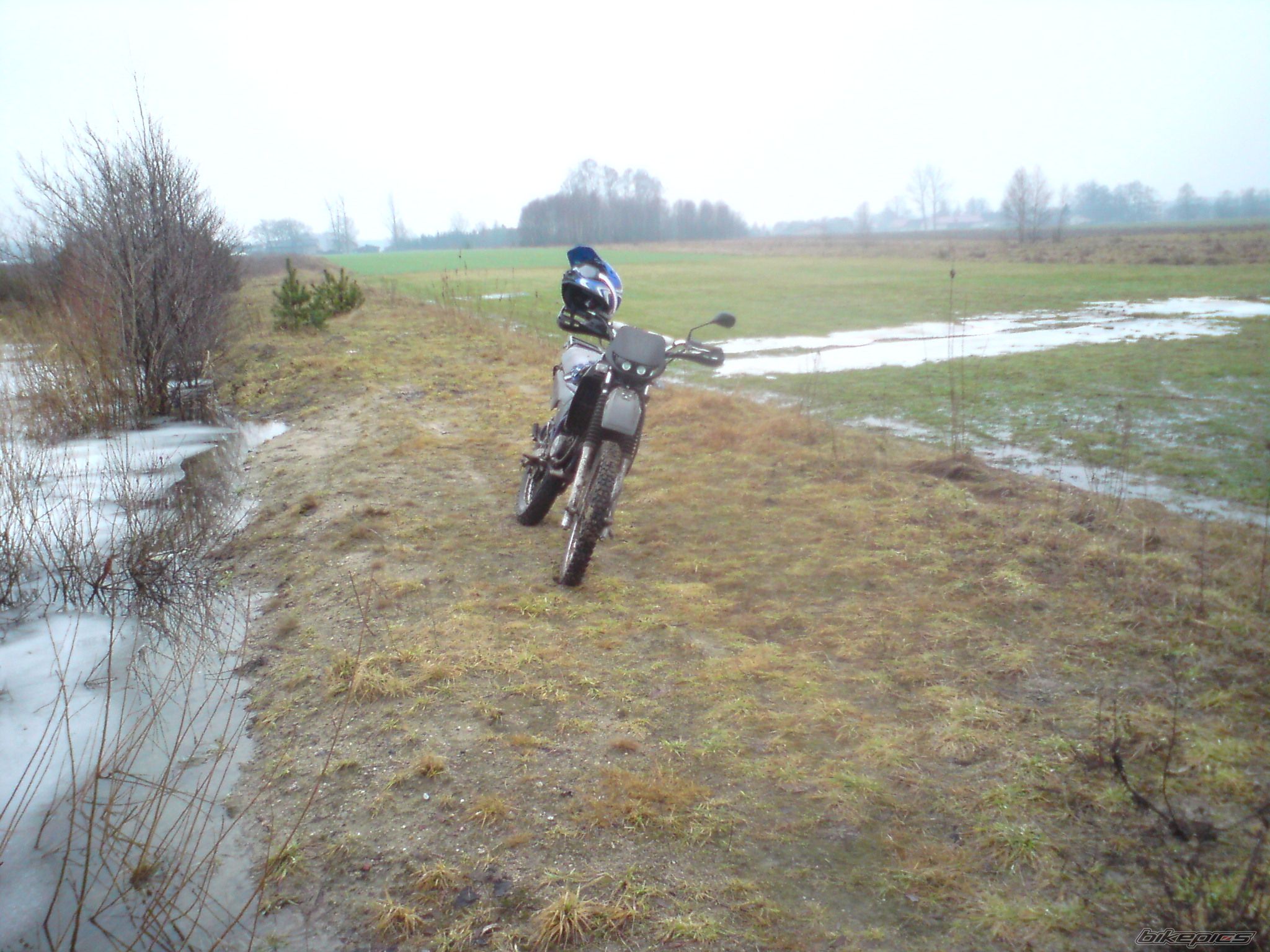 Photo 2132773