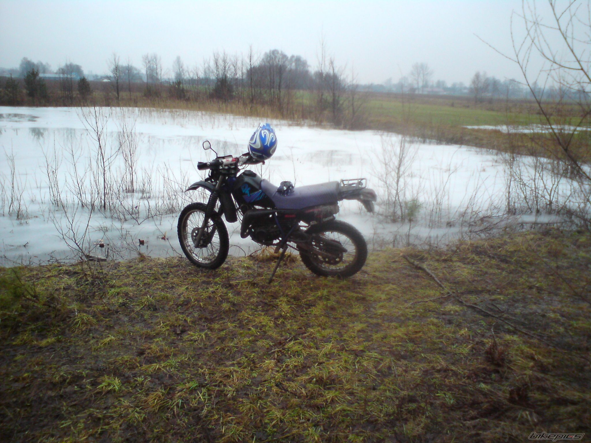 Photo 2132781