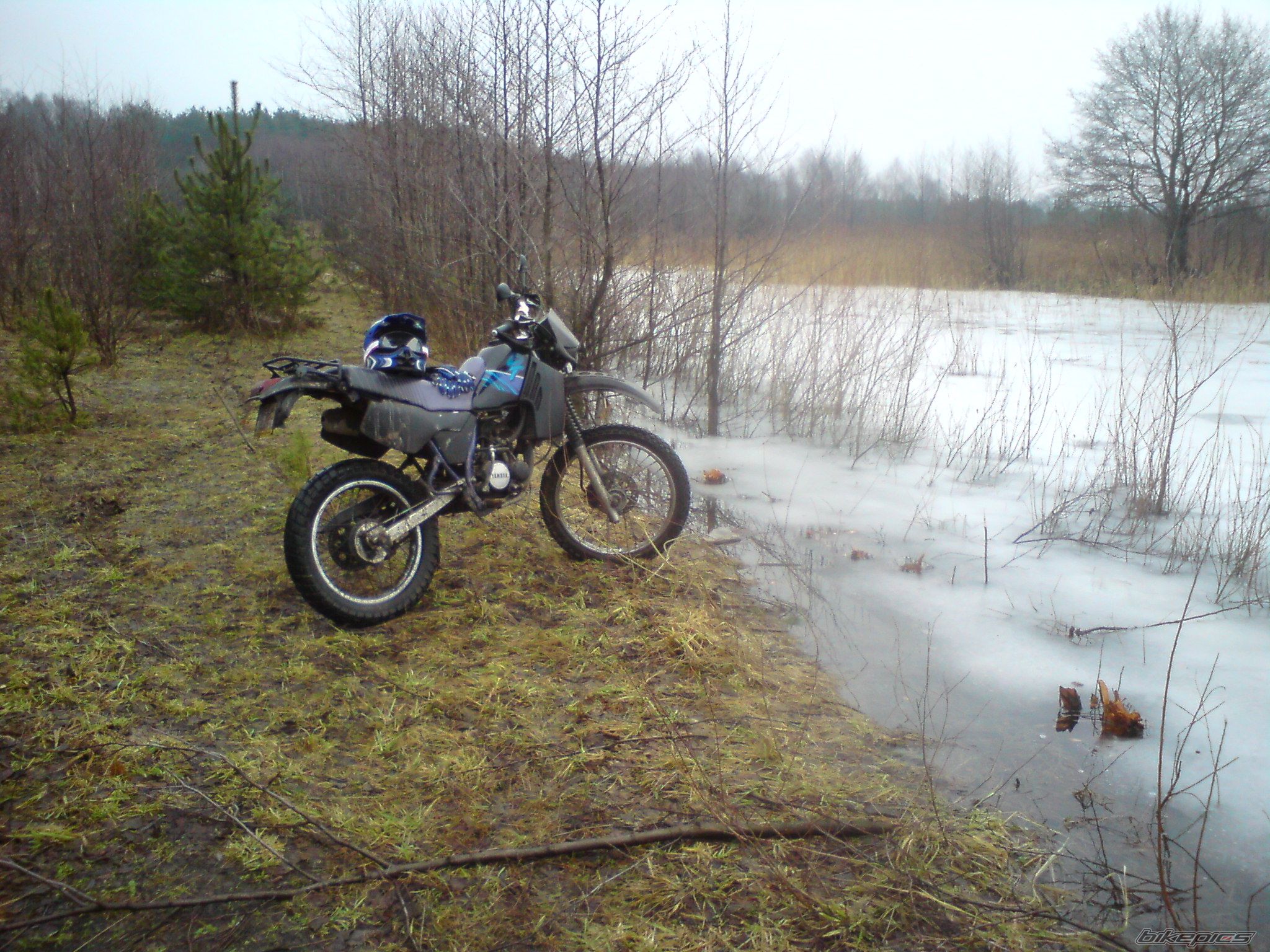 Photo 2132783