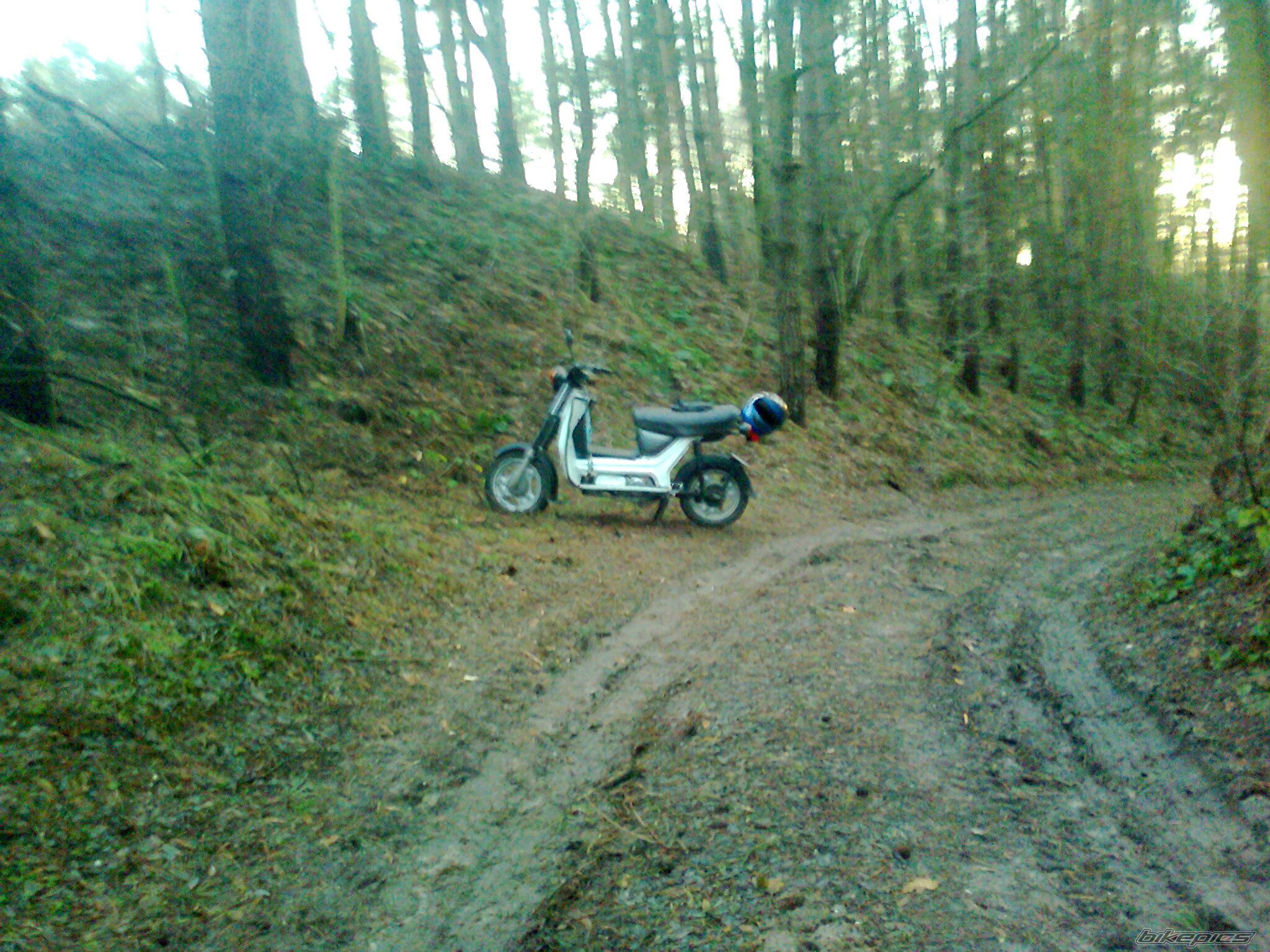 Bike Photo 2132989