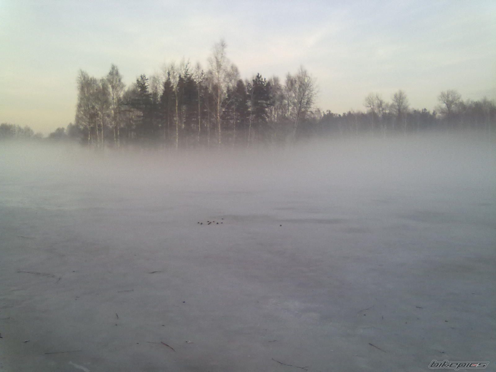 Photo 2133038