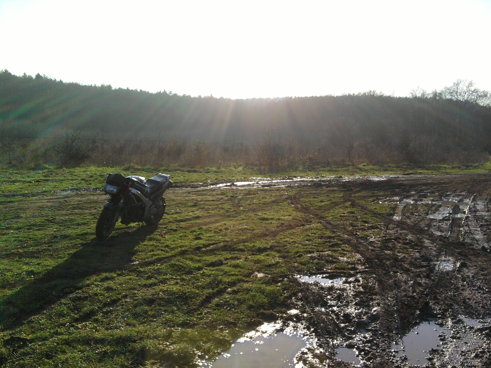 Photo 2133062