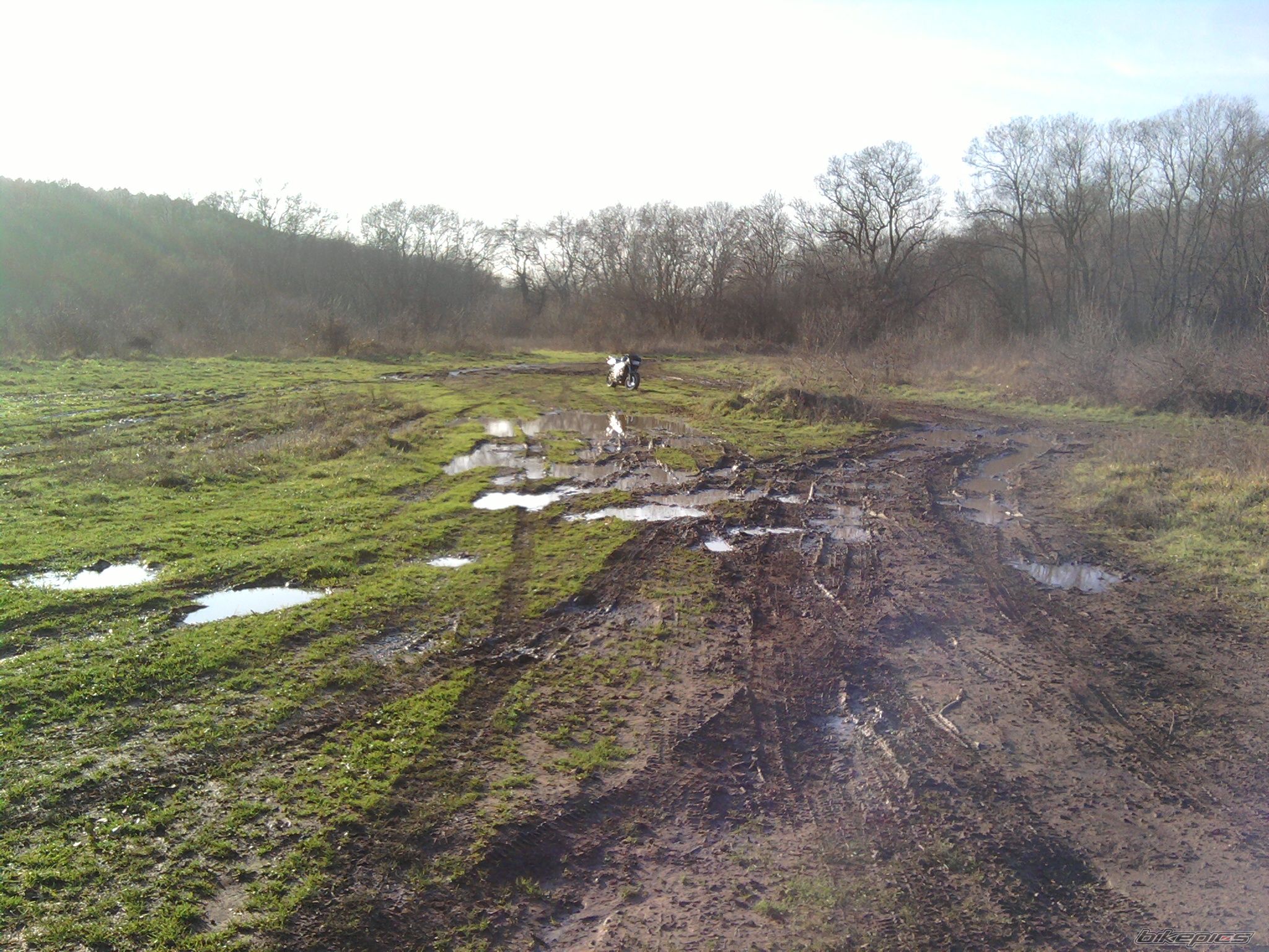 Photo 2133065