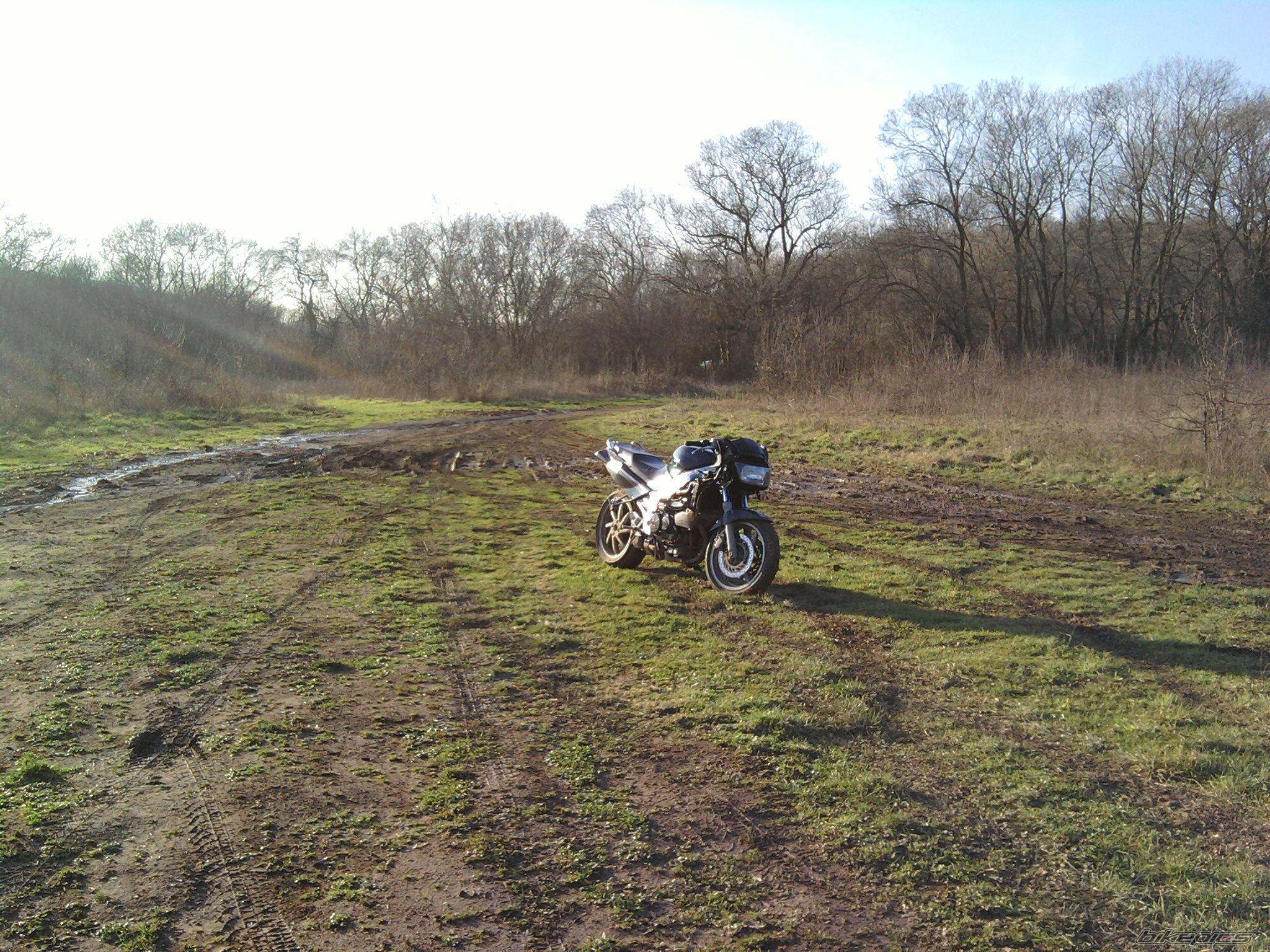 Photo 2133066