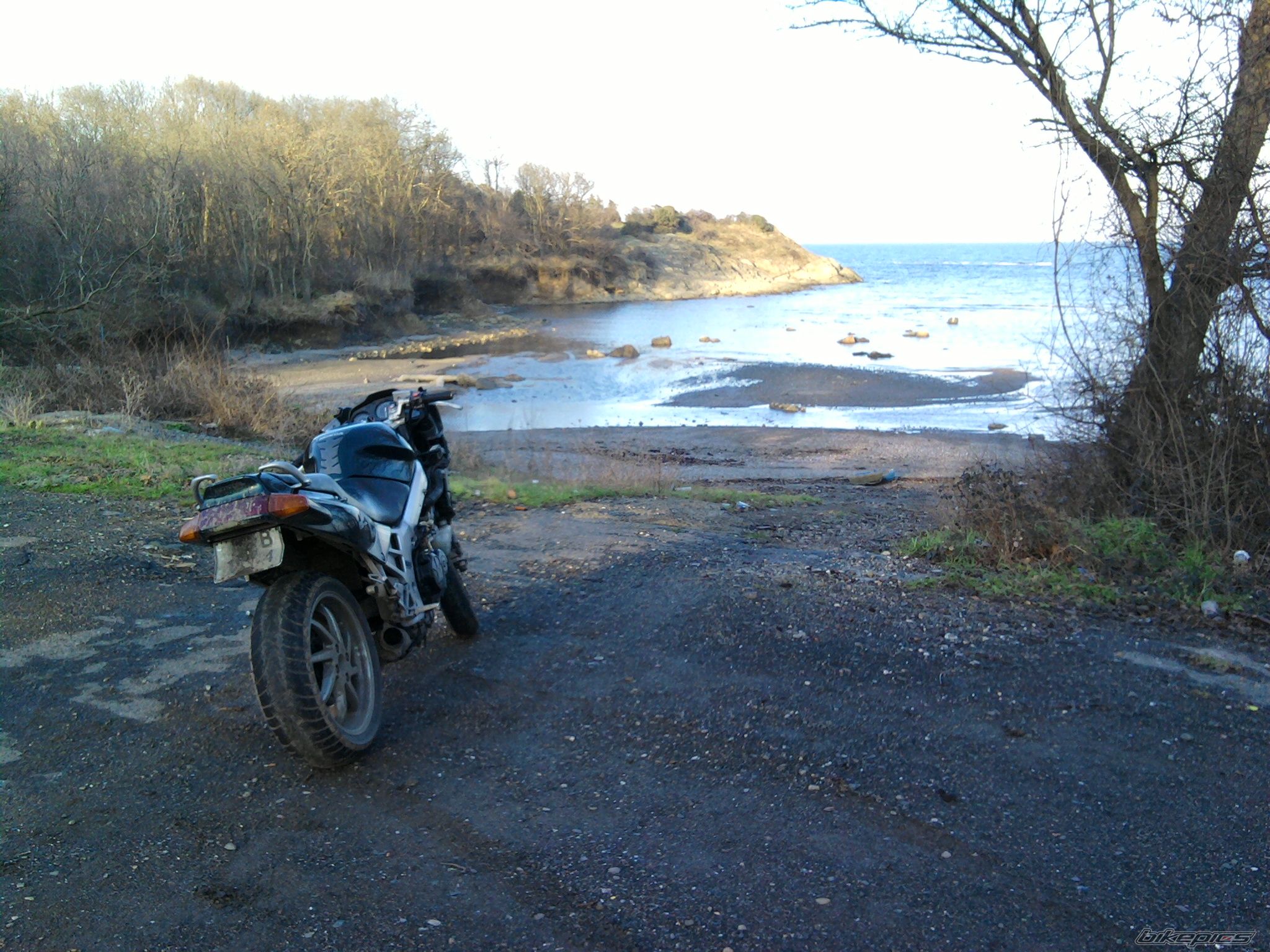 Photo 2133068
