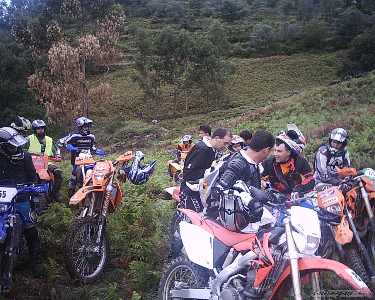 Photo 213314