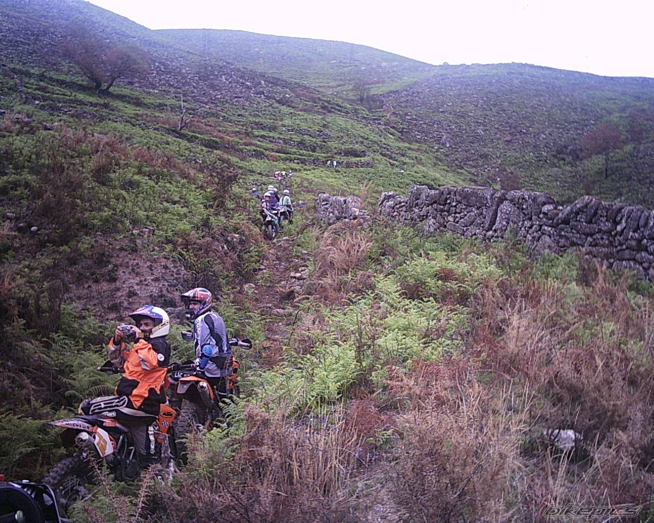 Photo 213315
