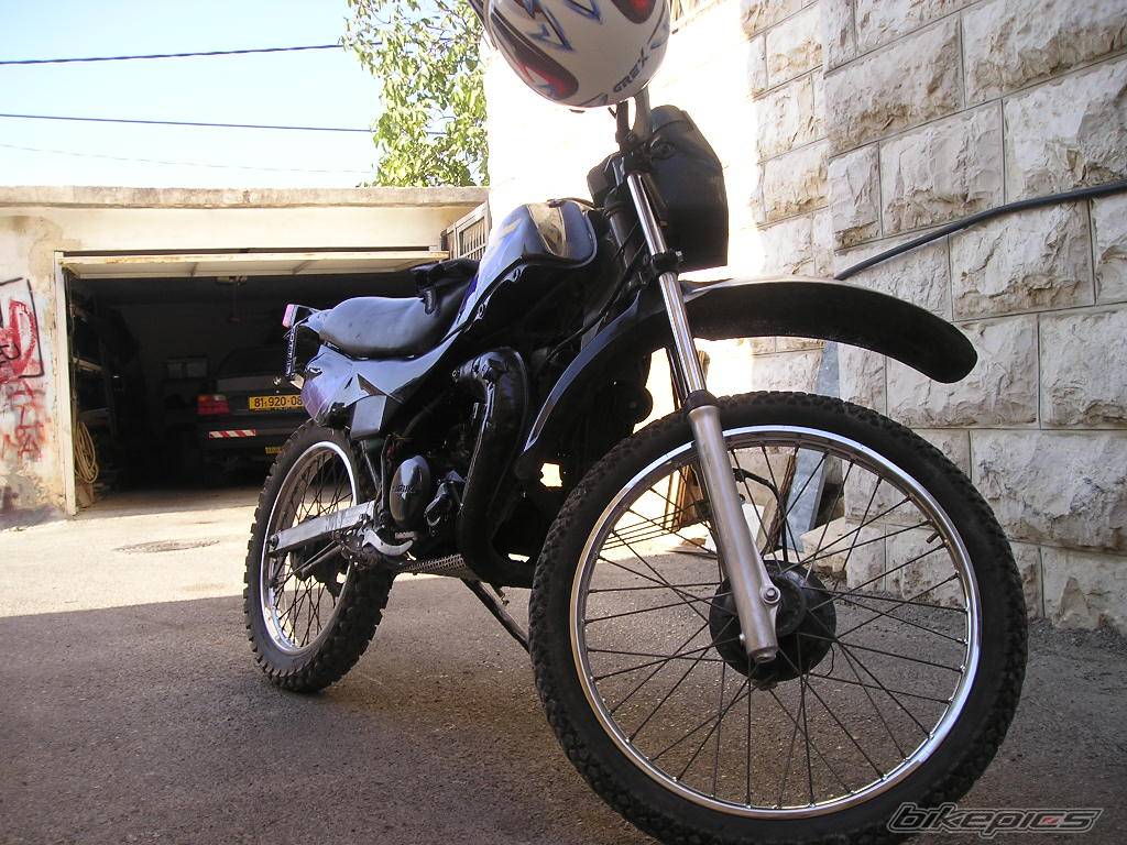 Photo 213324