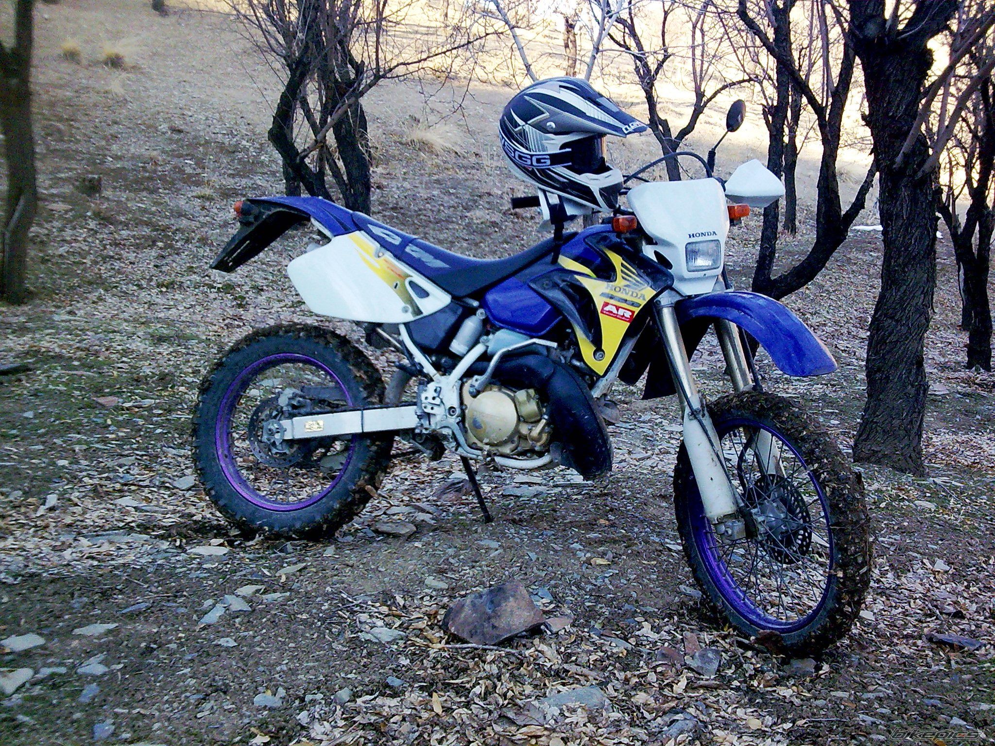 Photo 2133403