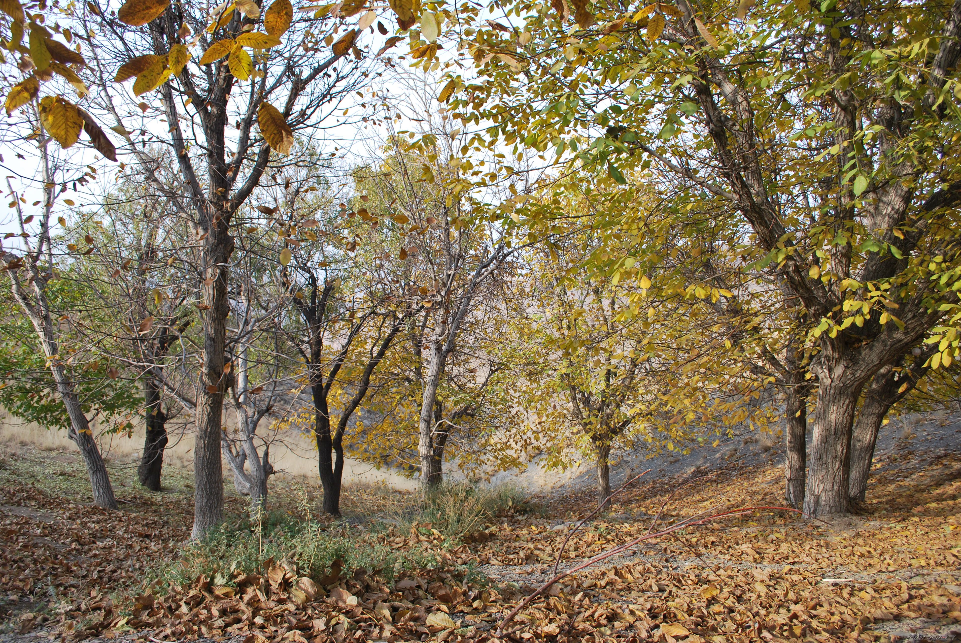 Photo 2133408