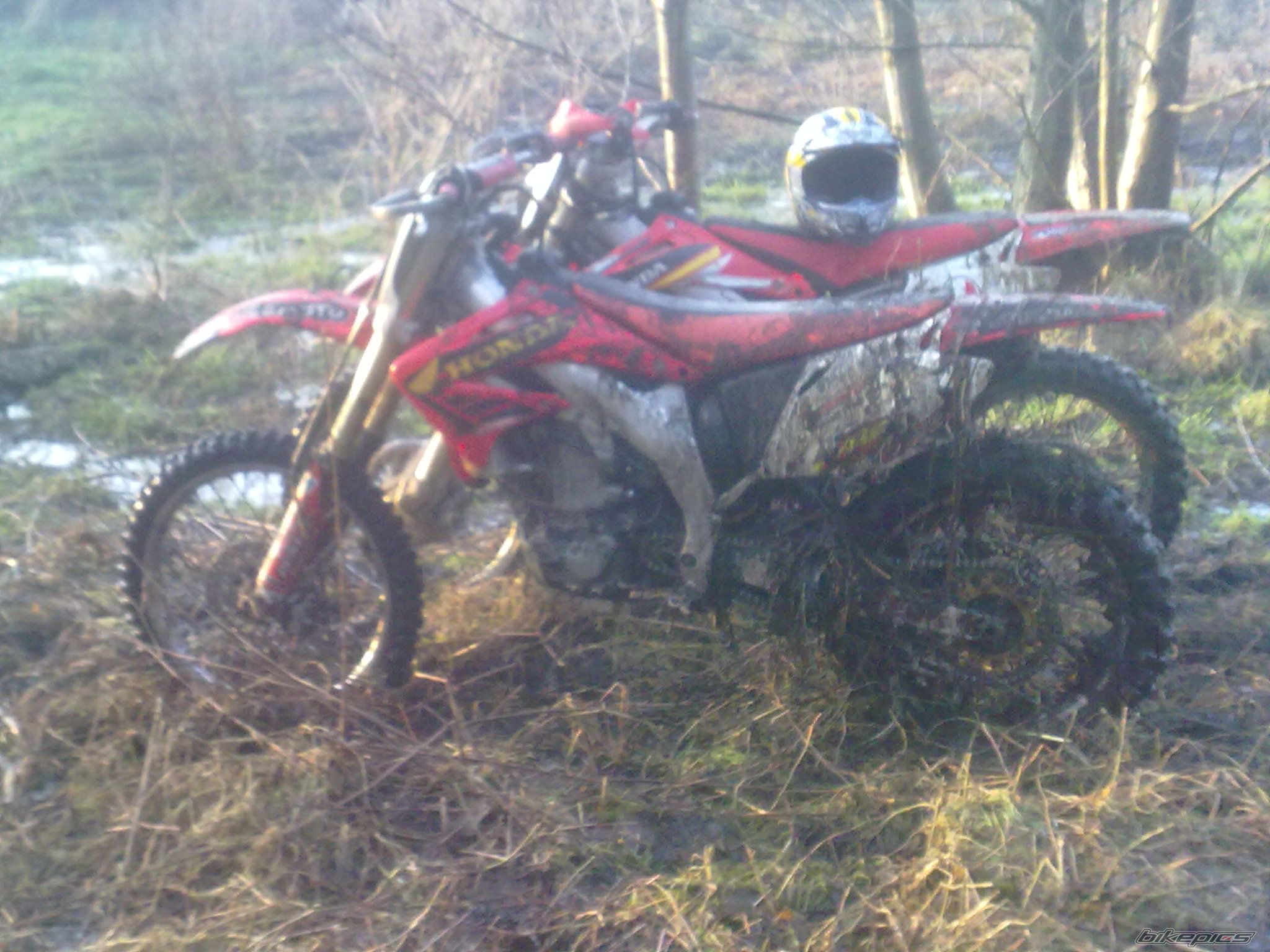Photo 2133462