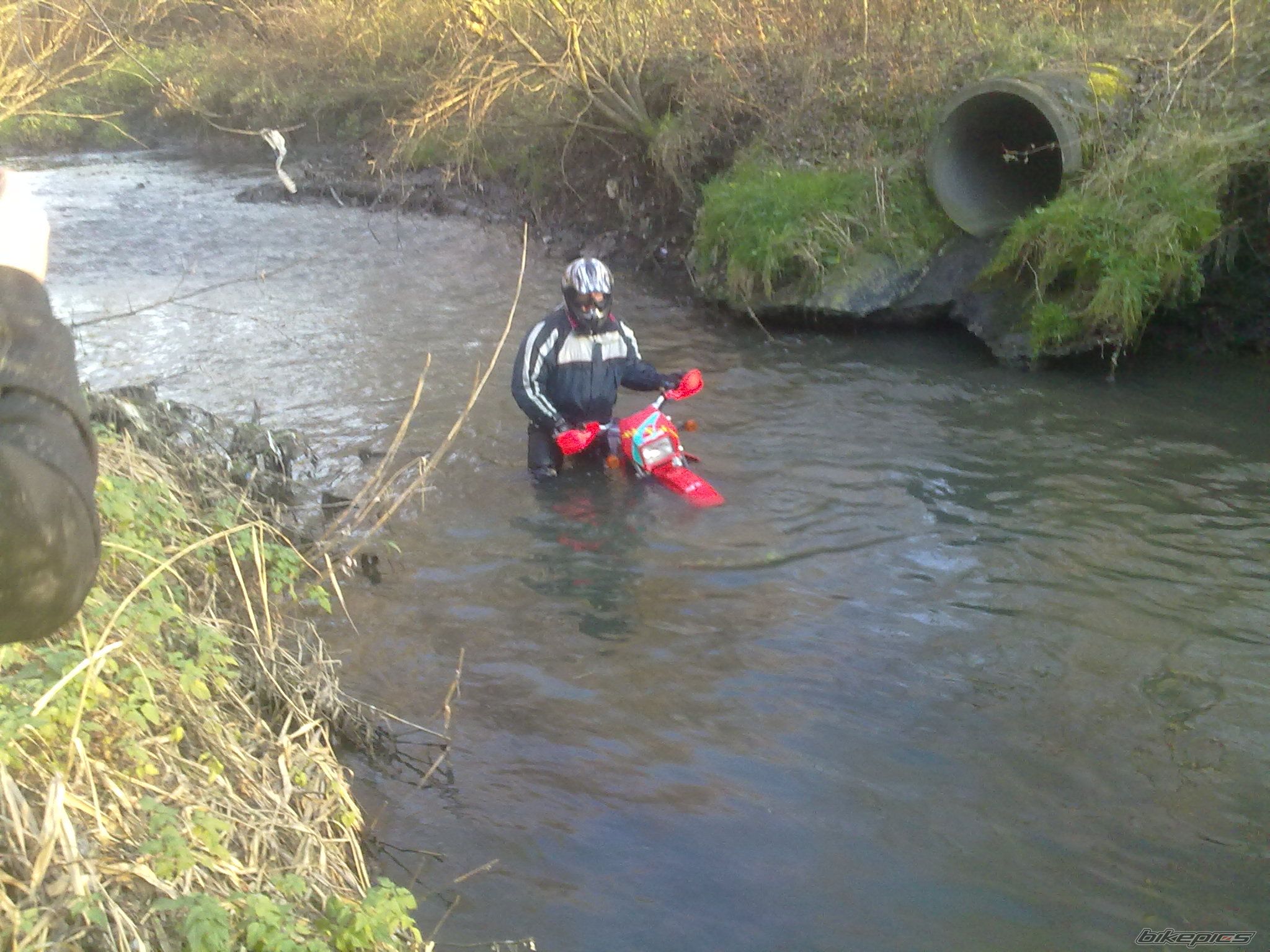 Photo 2133463