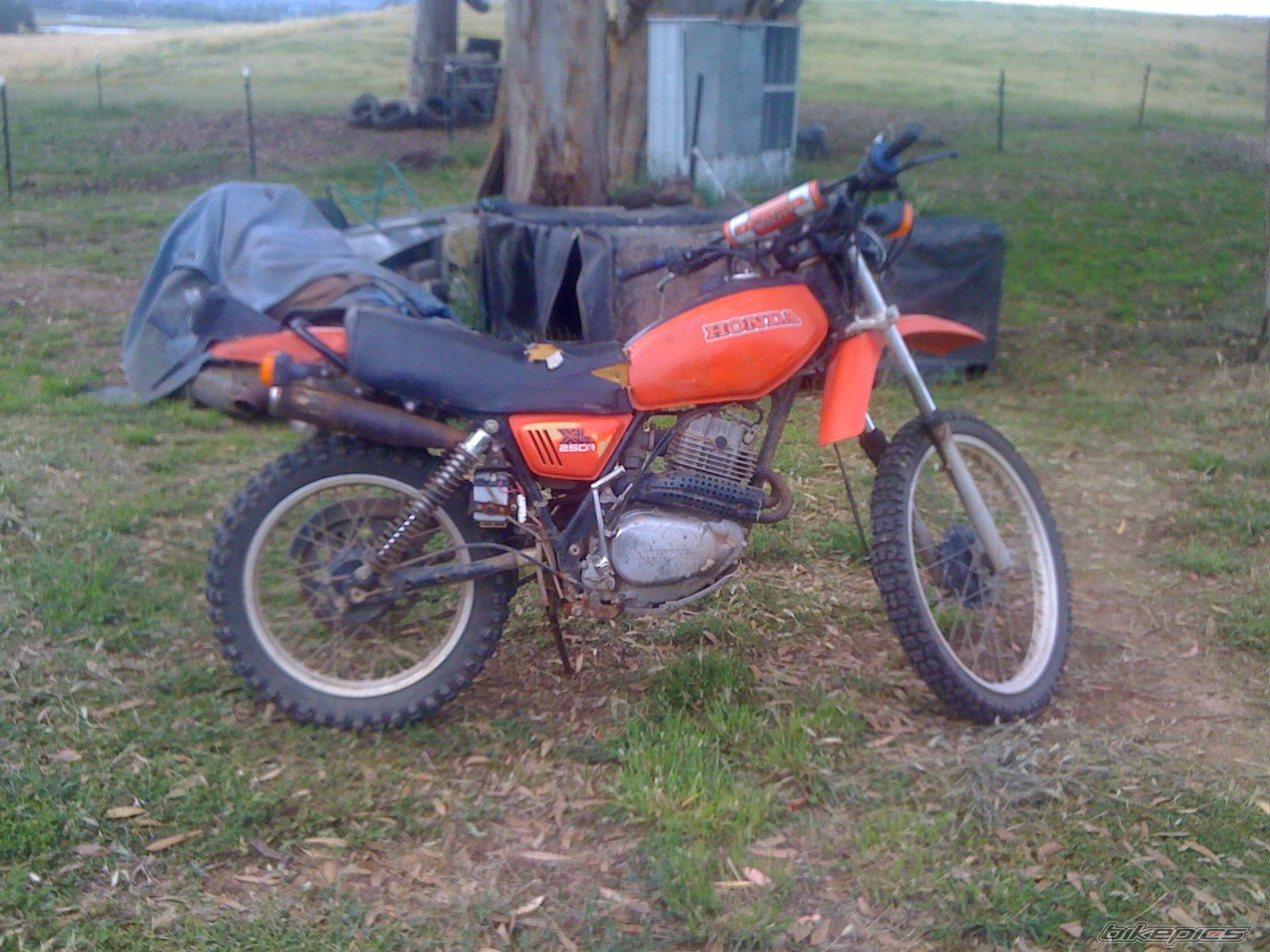 Bike Photo 2133468