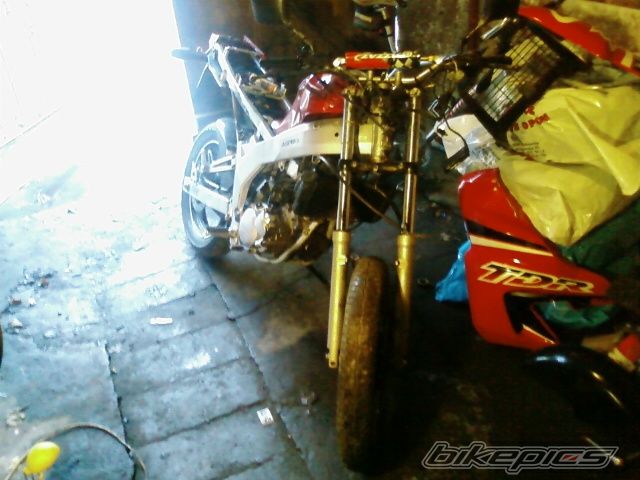 Photo 2133634