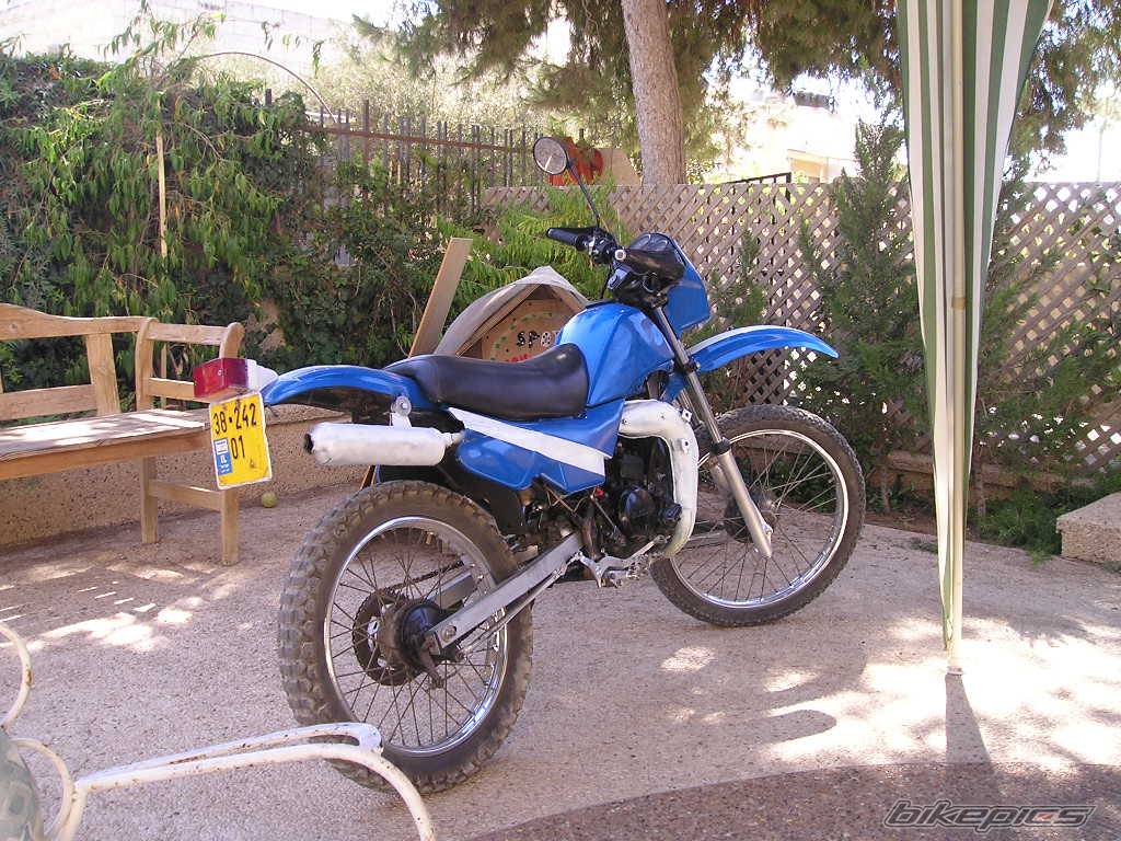 Photo 213366