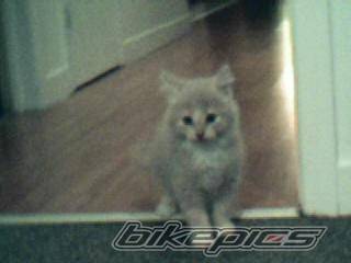 Photo 213370