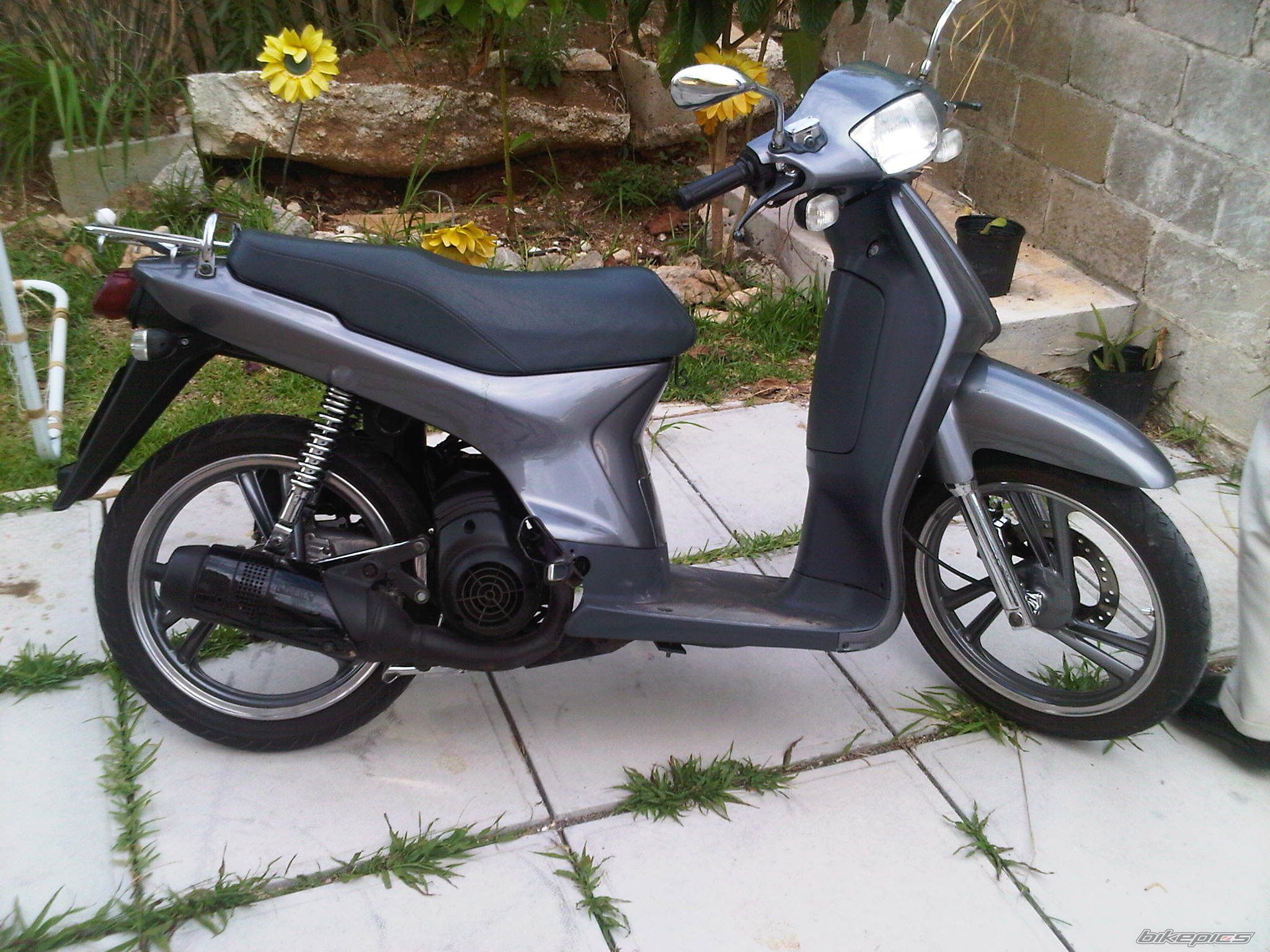 Photo 2133739