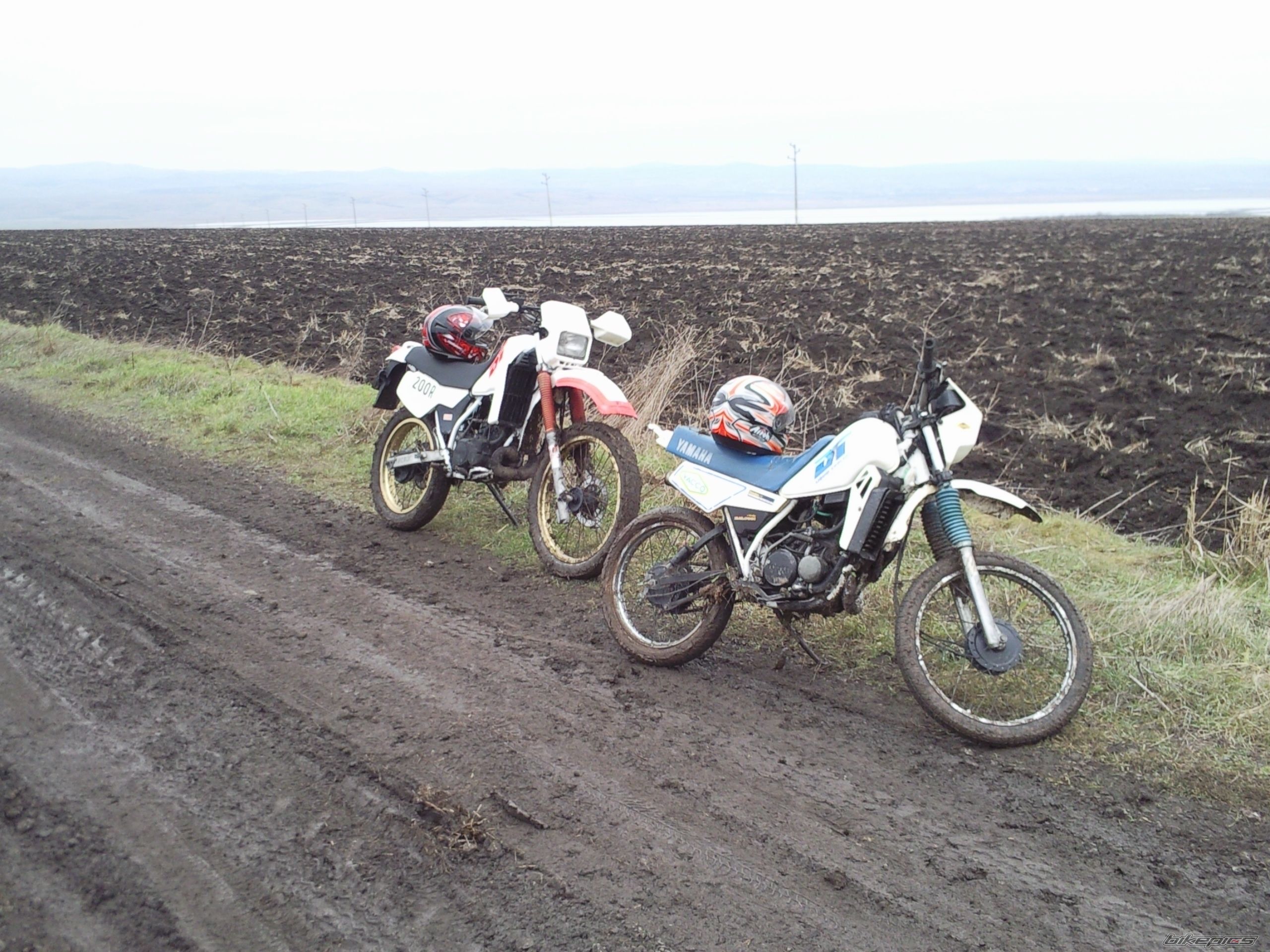 Photo 2133750