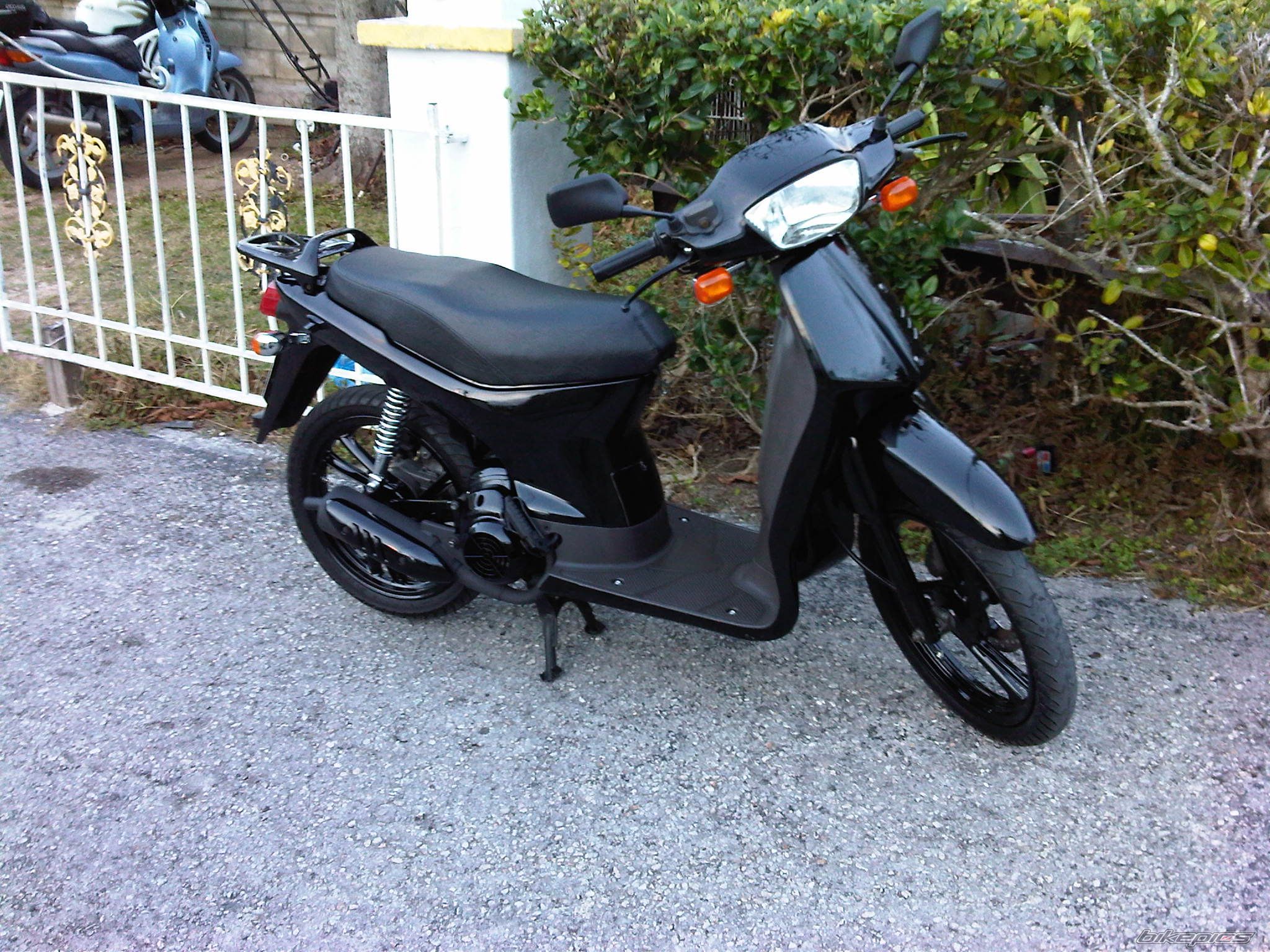 SH 50 (Scoopy)