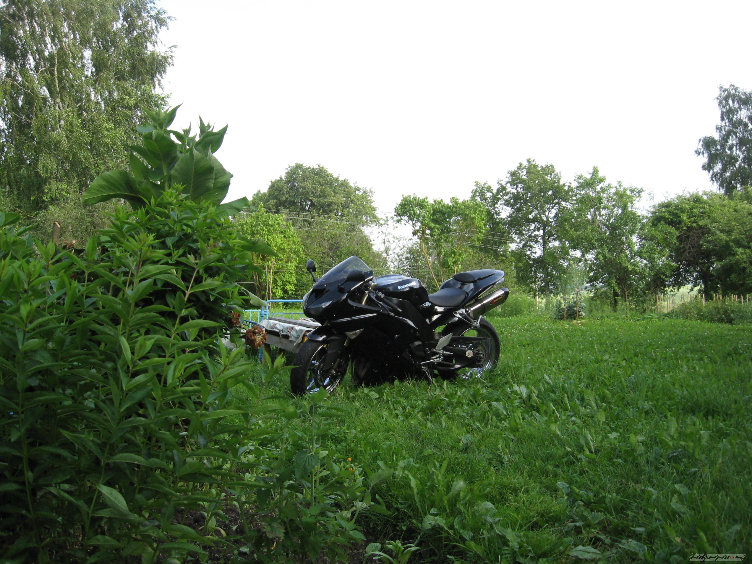 Photo 2133909