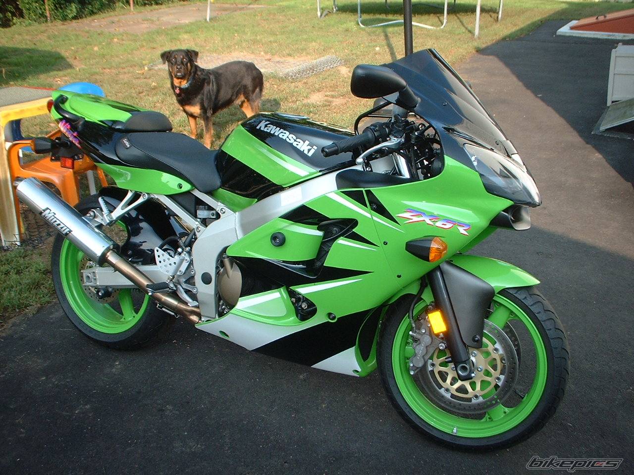 Photo 213397