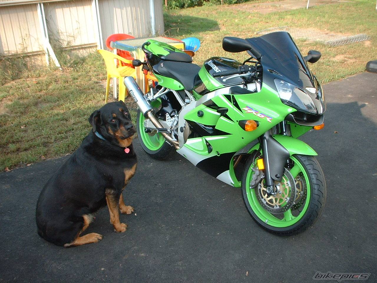 Photo 213398