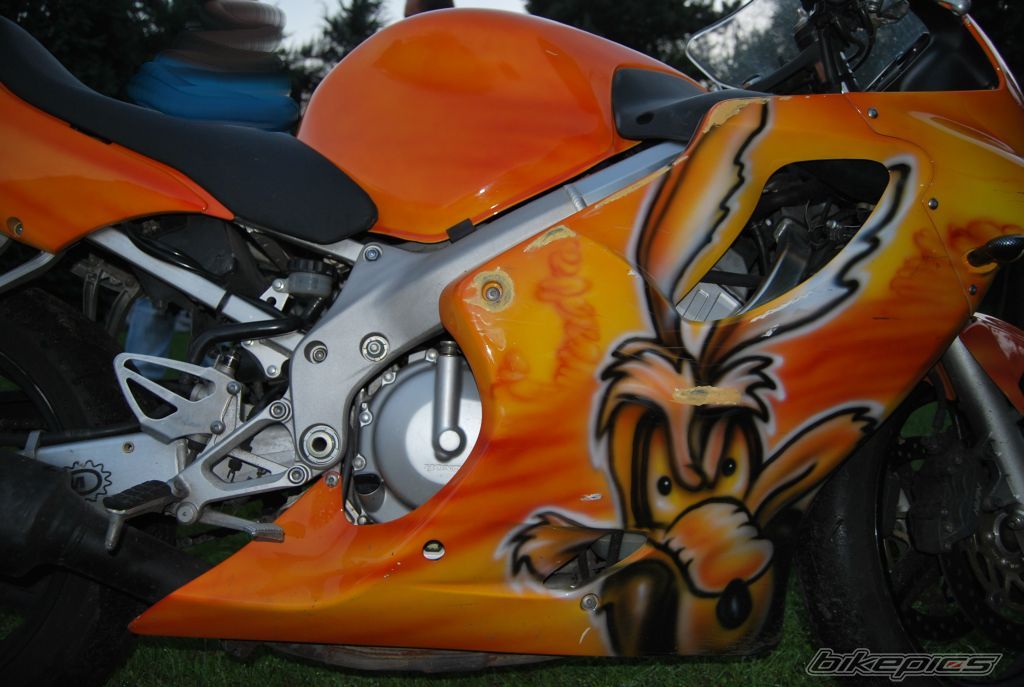 Photo 2134020