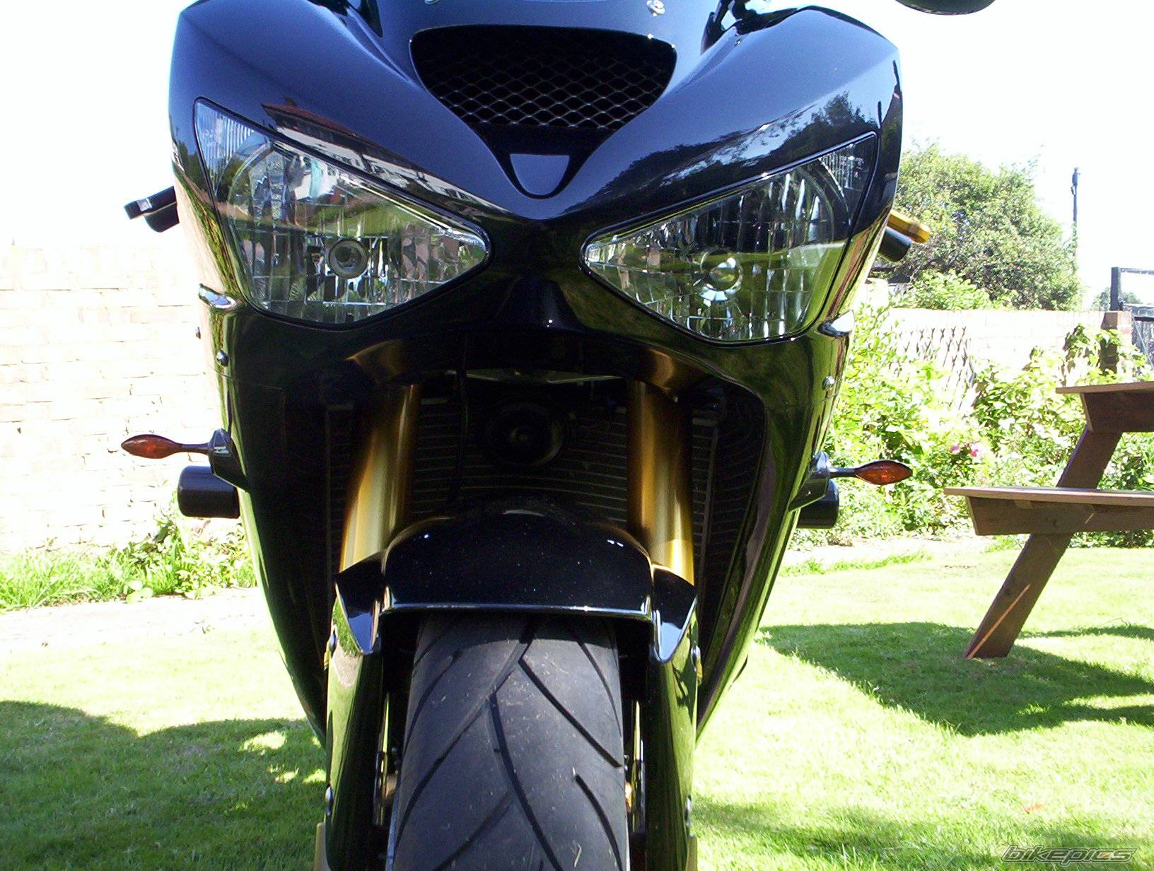 Photo 213408