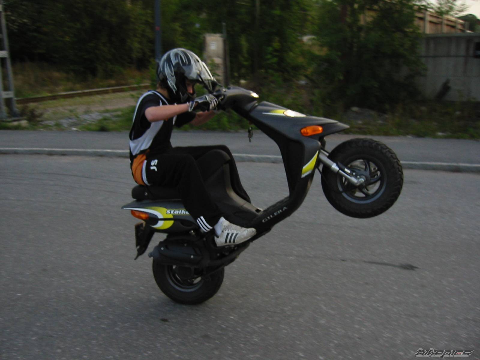Photo 213417