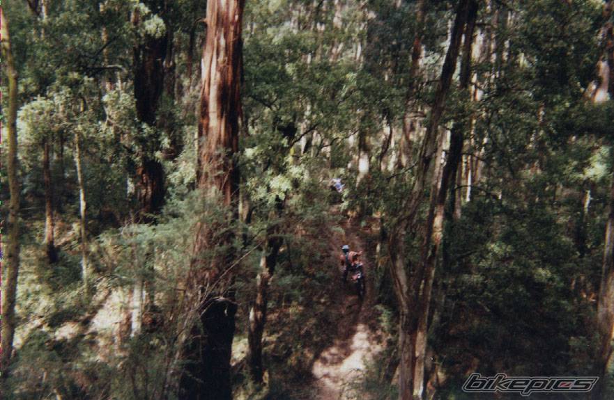 Bike Photo 213419