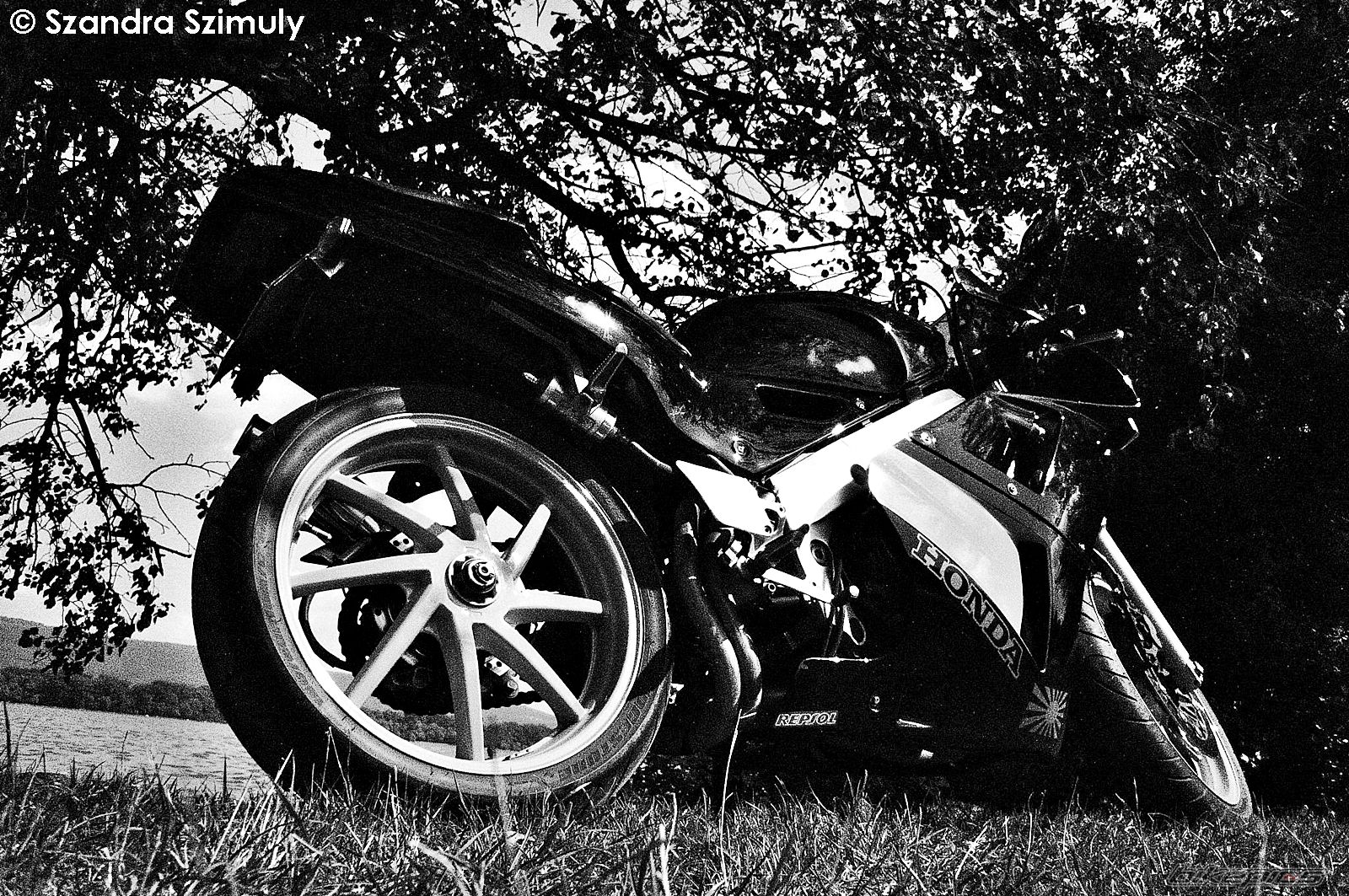 Photo 2134198