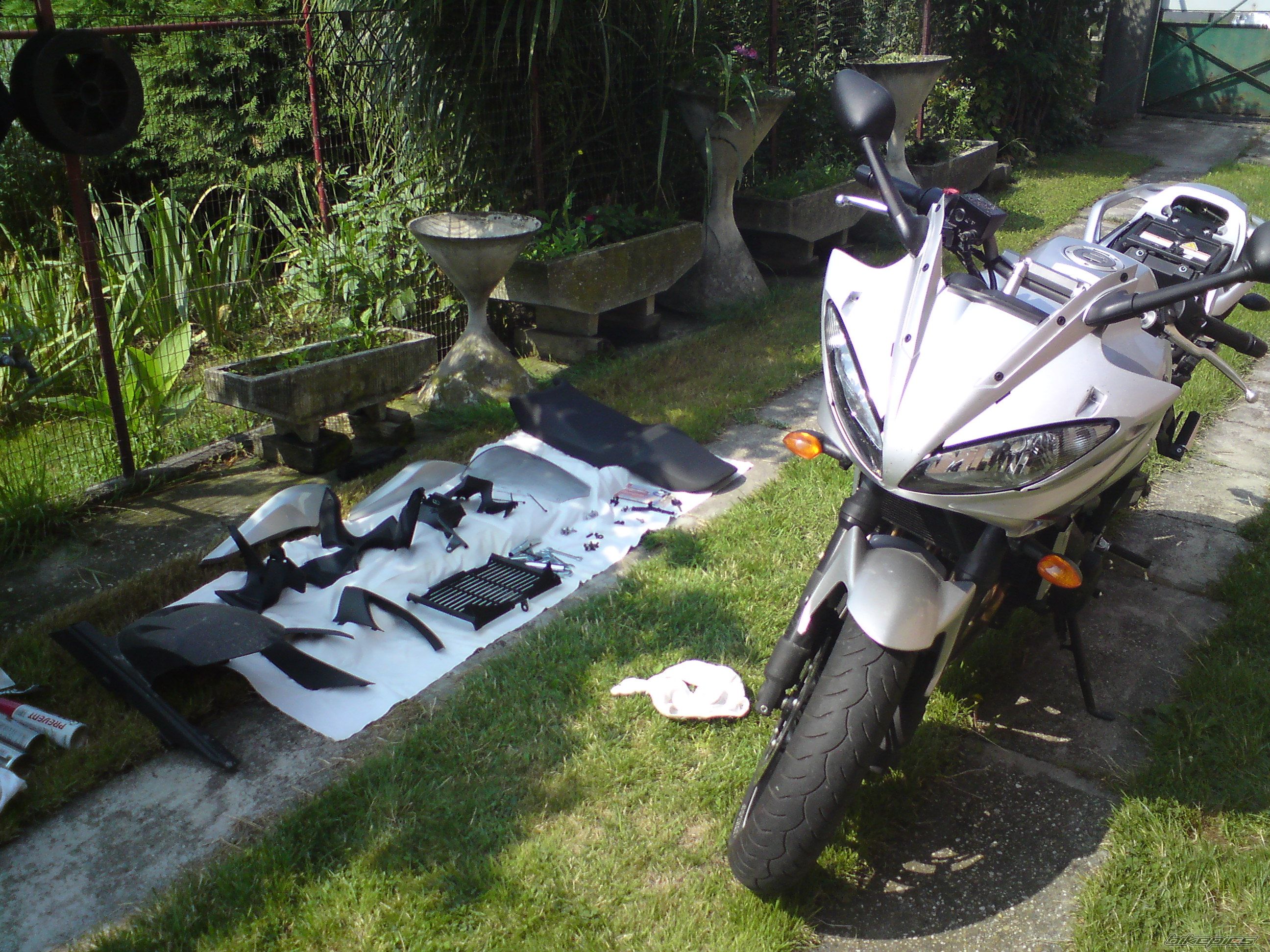 Photo 2134519
