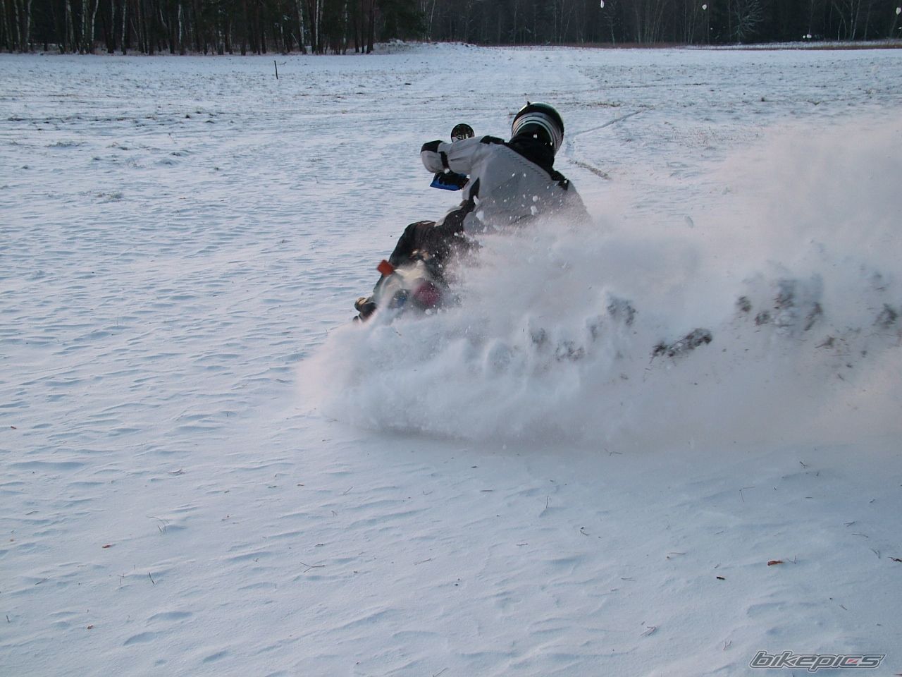 Photo 2134533