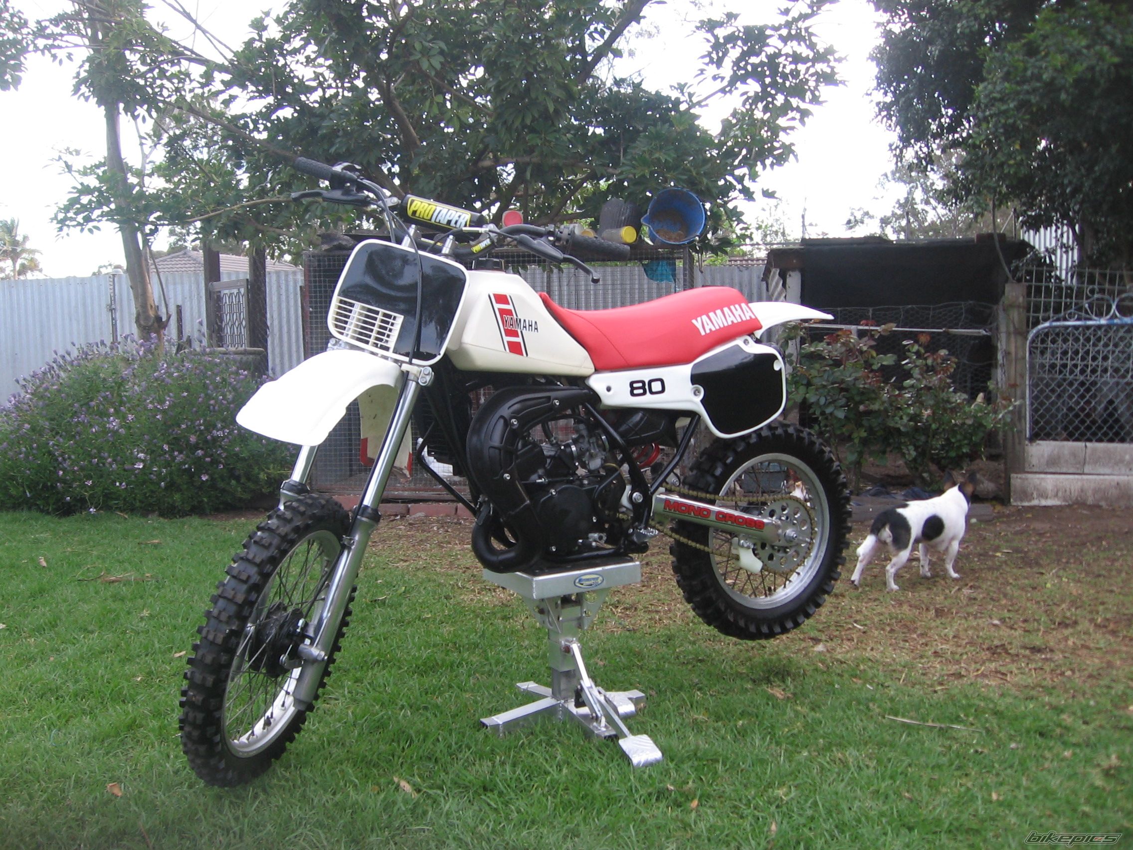 Photo 2134949