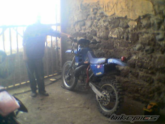 Photo 213498