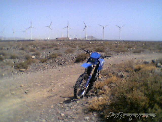 Photo 213499
