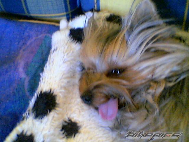 Photo 213503